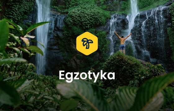 egzotyka