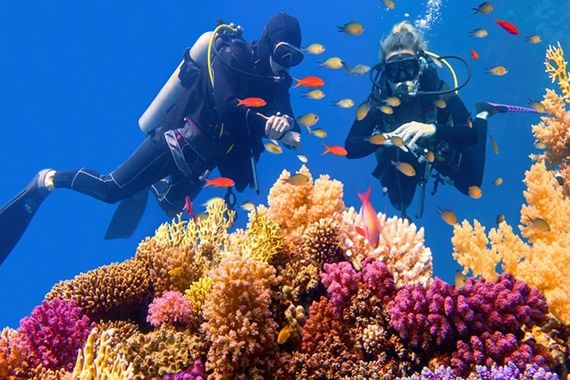 Nurkowanie w Sharm el Sheikh