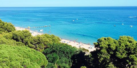 plaża