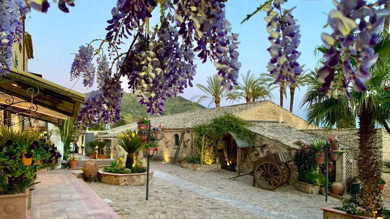 teren hotelu, obiekt