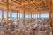 beach bar