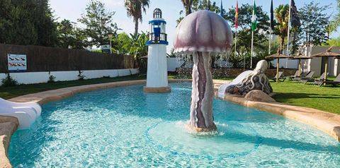 basen, sport i rekreacja