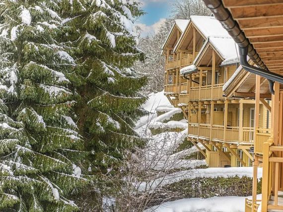 Alpen Appartements Viehho 4*