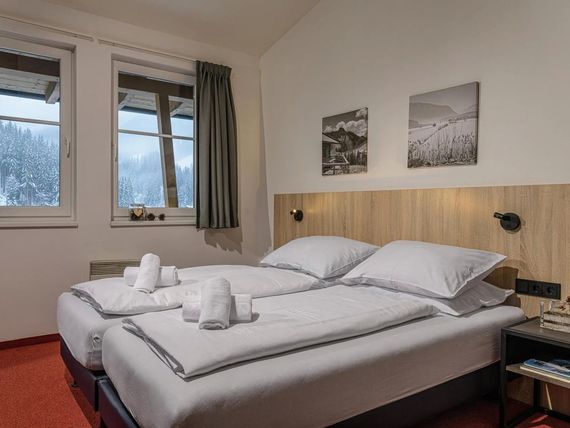 Alpen Appartements Viehho 4*