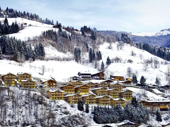 Alpen Appartements Viehho 4*
