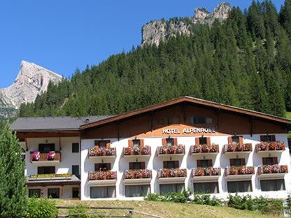 Alpenrose