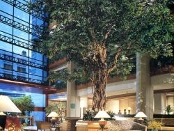 Amari Atrium