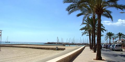 teren hotelu, plaża