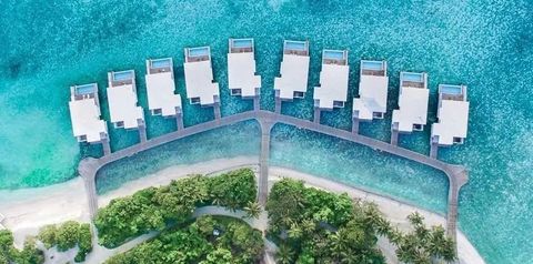 basen, plaża, teren hotelu