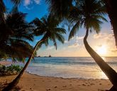 Anse Soleil Beachcomber