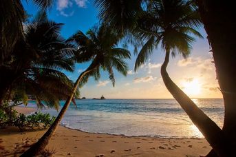 Anse Soleil Beachcomber