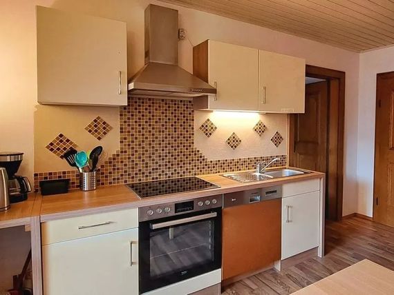 Apartment Wegmo 3*