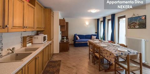 pokój, kuchnia / aneks kuchenny