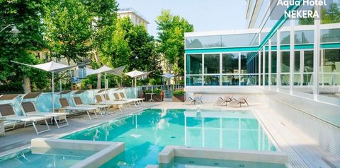 jacuzzi, teren hotelu, basen