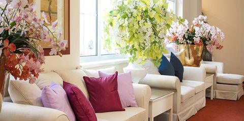 teren hotelu, recepcja / lobby