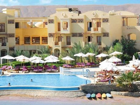 Arena Inn