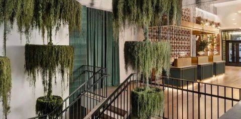 recepcja / lobby