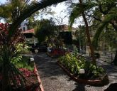 Arts In Conde Carvalhal