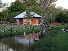 Feathers Sanctuary 5*