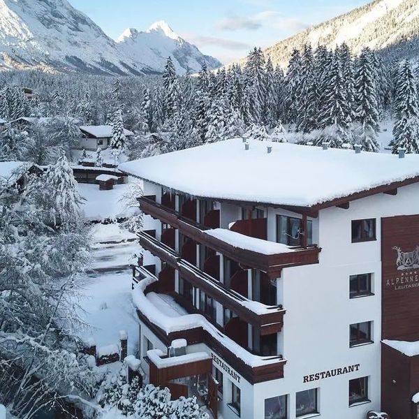 Alpennest