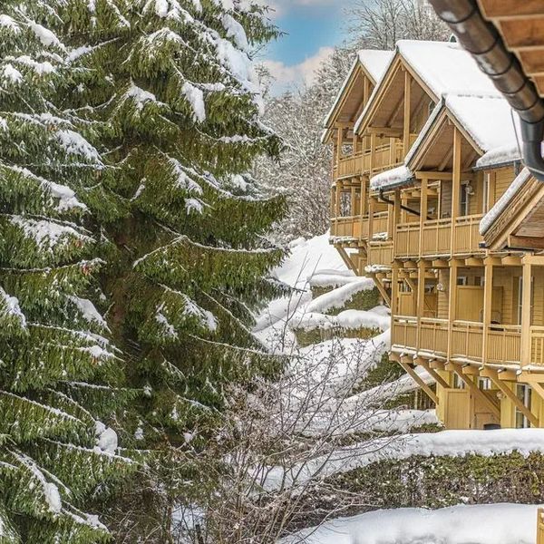 AlpenParks Rehrenberg (ex. Landal Rehrenberg)