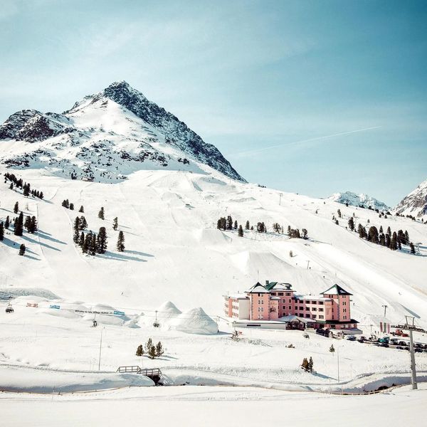Alpenrose (Kuhtai)
