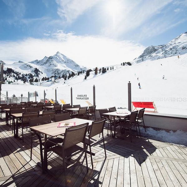 Alpenrose (Kuhtai)