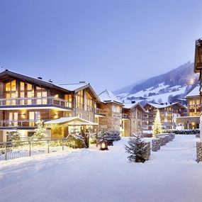 DAS Wildkogel