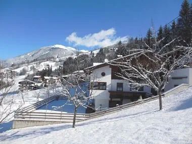 Haus Holaus 2.5*
