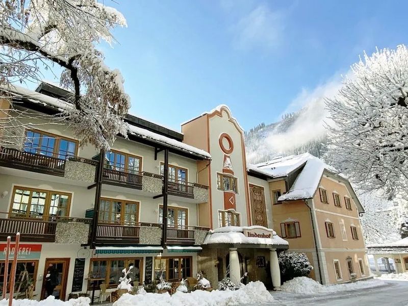 Landhotel Lindenhof 4*