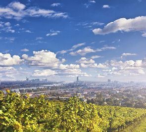Lindner Am Belvedere