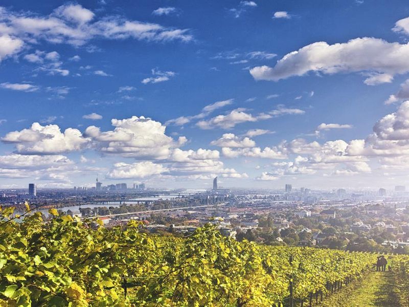 Lindner Am Belvedere 4*