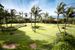 pole golfowe