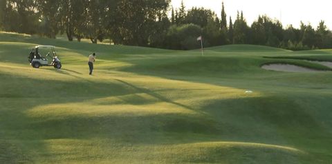 pole golfowe