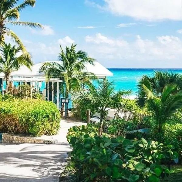 Pink Sands – 2026-03-23 - Zdjęcie 2