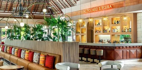 drink bar, restauracja