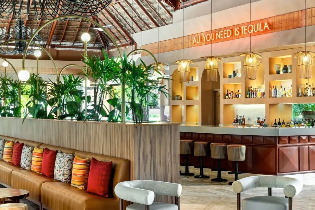 restauracja, drink bar