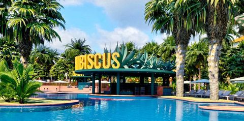 teren hotelu, basen, pool bar