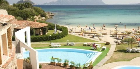 teren hotelu, plaża, basen