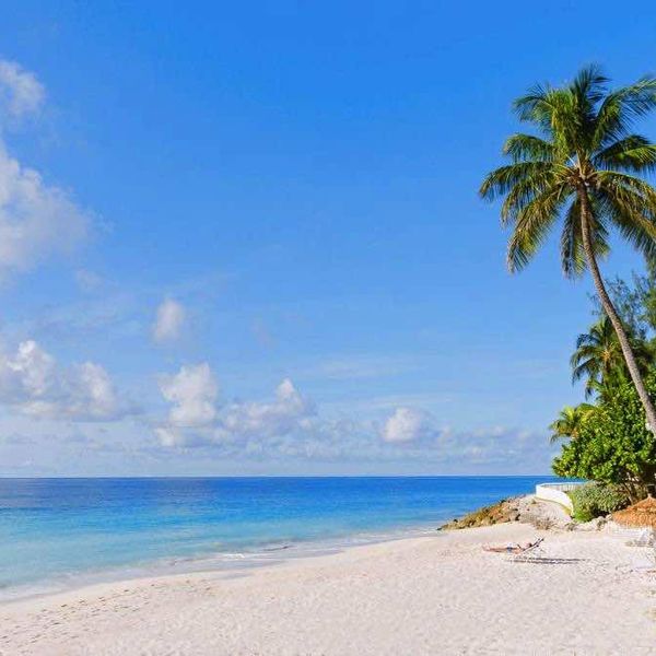 Bougainvillea Beach Resort – 2026-11-17 - Zdjęcie 2