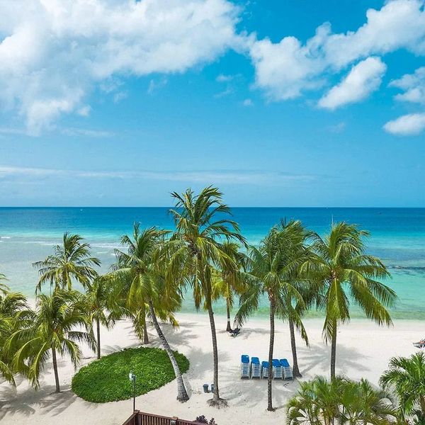 Coconut Court Beach Resort – 2026-11-03 - Zdjęcie 3