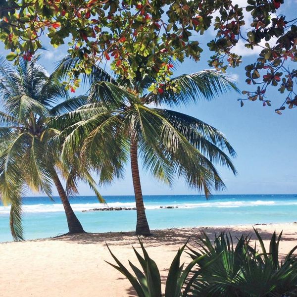 Sugar Bay Barbados – 2026-11-03 - Zdjęcie 2