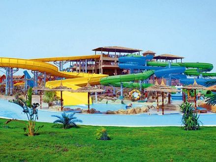 Beach Albatros