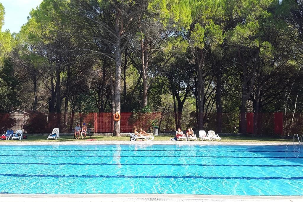 basen, teren hotelu