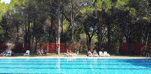 basen, teren hotelu