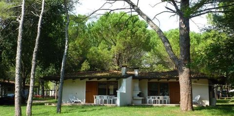 obiekt, teren hotelu