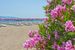 plaża