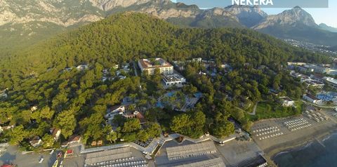 obiekt, teren hotelu, plaża