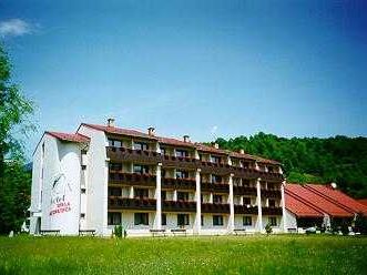 Biela Medvedica