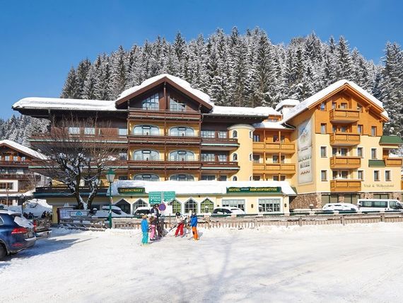 Bischofsmutze 4*
